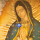 Logo de Maria Vision - Carlo Acutis