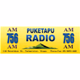 Logo de Puketapu Radio 756 AM