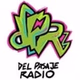 Del Pasaje Radio logo