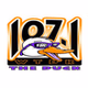 107.1 The Duck - WTDK logo