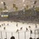Clarkson University Hockey Radio logo
