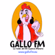 Logo de Gallo FM