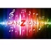 Logo de CANZIONFMNET