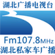 Logo de 湖北私家车广播