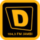 D Radio 104,3 FM logo
