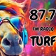 RADIO TURF 87.7 FM logo