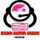 Logo de Radio Altiva Canas