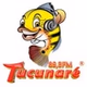 Rádio Tucunaré 89,3 FM logo