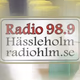 Logo de Radio Hassleholm