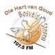 Bosveld Stereo logo