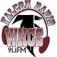 Logo de Falcon Radio - WKCS