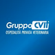 Logo de Radio GruppoCVIT