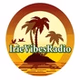 Irie Vibes Radio Detroit logo