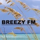 Breezy FM logo