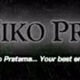 Bali Niko Pratama logo