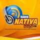 Nativa Fm 105.5 logo