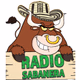 Logo de Radio Sabanera