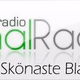 Logo de Kanalradion
