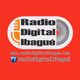 Logo de Radio Digital Ibagué (RDI)