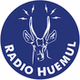 Radio Huemul logo