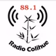 Radio Colihue 88.1 logo