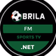 Brila FM logo