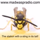 Mad Wasp Radio logo