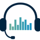 Logo de Zonefmsystem