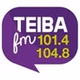 Teiba FM logo