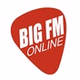 Big FM Radio logo