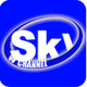 Sky W Channel logo
