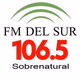Logo de FM del Sur