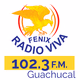 Logo de Radio Viva Fenix - Guachucal