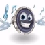 Webradio Veerman logo