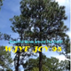 Logo de WJYF Joy 95