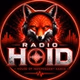 Radio Hoid logo