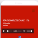 Logo de Radio Mozzecane