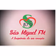 Rádio São Miguel 87.9 FM logo