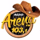 Arena FM 103 logo