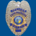 Logo de New Hanover County Sheriff