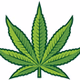 Green Flower Dispensary Radio logo