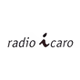 Radio Icaro logo