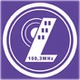 Lähiradio 100,3MHz logo
