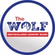 The WOLF - Hannover logo