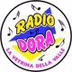 Logo de Radio Dora