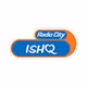 Radio City - Love Guru logo