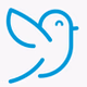 Bluebird Radio FM logo
