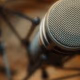 Logo de Radio Young