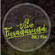 Vive Fusagasugá 88.1 Fm logo