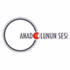 Logo de Anadolunun Sesi Radyosu